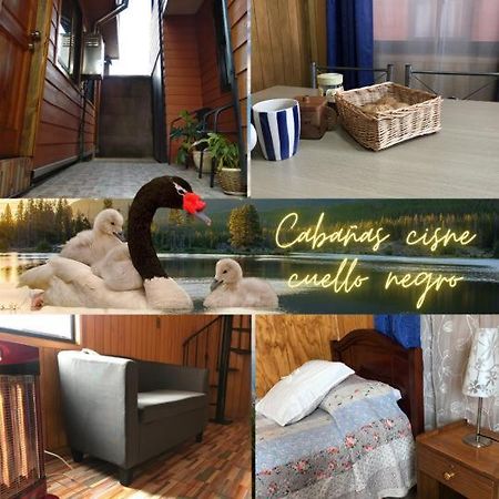 Cabañas Cisne Cuello Negro Apartamento Valdivia Exterior foto