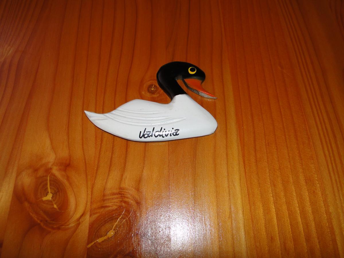 Cabañas Cisne Cuello Negro Apartamento Valdivia Exterior foto